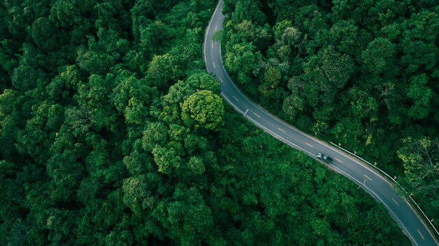 Stockstrail Journey & Financial Road
